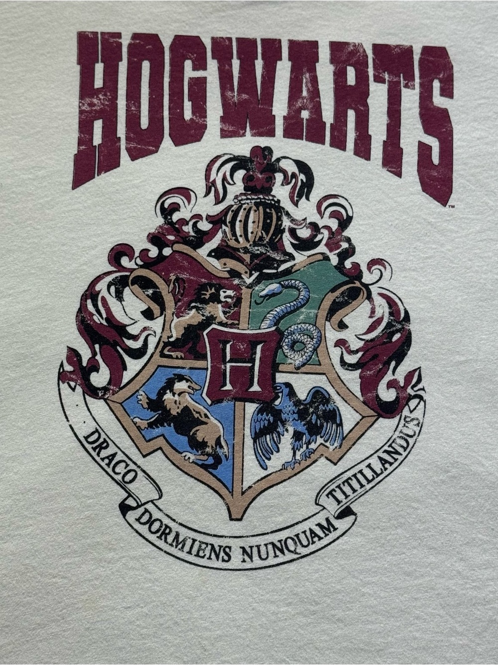 Harry Potter Hogwarts T-Shirt Adult L/G/G – Ivory – Distressed Graphic
